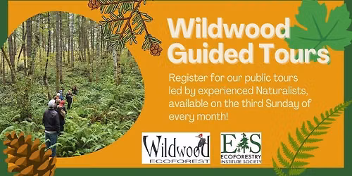 Wildwood Eco Forest Guided Tours
