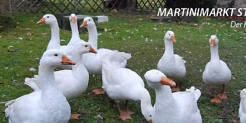 Martinimarkt 2025