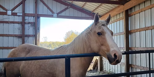 Flag Day 2026 Open Barn
