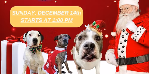 BARK Christmas BINGO