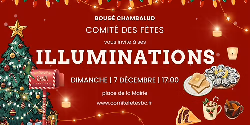 Illuminations, hu\u00eetres, foie gras, vin chaud, chocolat chaud, photos de No\u00ebl....