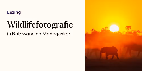 Lezing: Wildlifefotografie in Botswana en Madagaskar