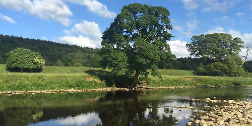 The Health of our Rivers (Tues)