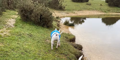 December Greenham walk ( christmas jumper time!)