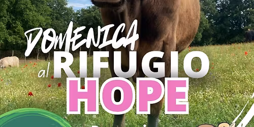 Domenica al rifugio Hope \ud83c\udf38