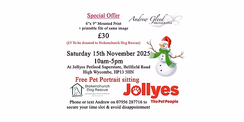 Pet Photography at Jollyes