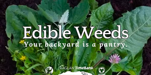 Edible Weeds Workshop