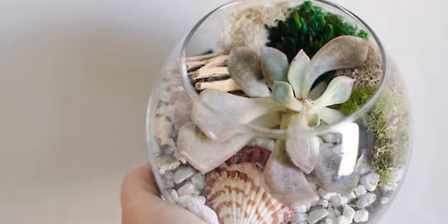 Succulent Gardens Terrarium Workshop