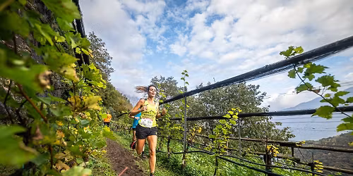VALLE DEI SEGNI WINE TRAIL 2025
