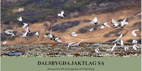 Dalsbygdapr\u00f8ve 2026 med Ketil Stokdals unghundpris
