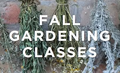 Fall Gardening Classes