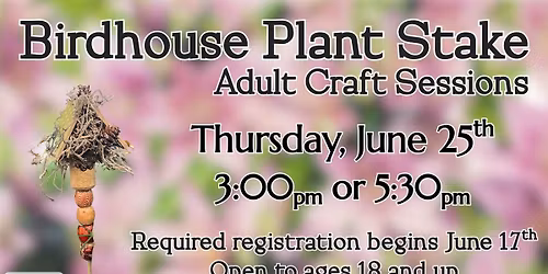 Adult Craft: Birdhouse Plant Stake