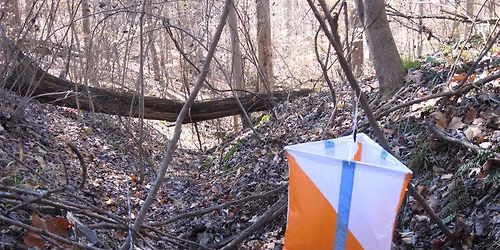 Hoosier Woodlands NRE and Recreational Orienteering in Hoosier National Forest
