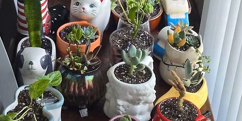 November Sale \ud83e\udeb4\u2728