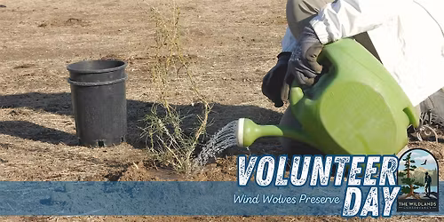Backcountry Volunteer Day: Plant Watering -  Wind Wolves Preserve