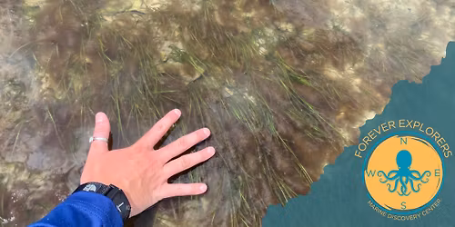 Forever Explorers Conservation Program: Seagrass Monitoring