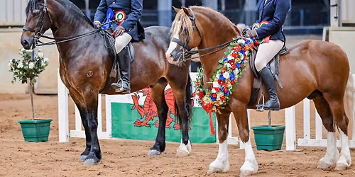 Junior Riding Clinic 
