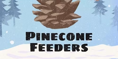 Pinecone Feeders
