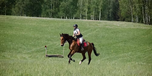 Warsztaty KIDS CUP TREC PTTK 