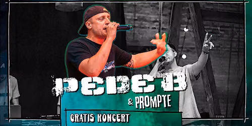 PEDE B \/\/ Gratis Koncert