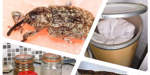 The Droves  My Reply  Long Cold Stare  & Following Seas