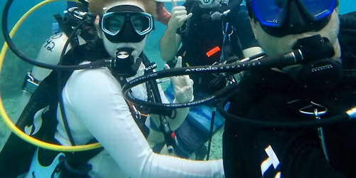Dive Excursion in Key Largo