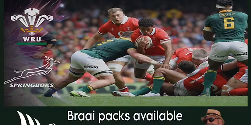 Springboks vs Wales