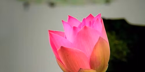 Kundalini Yoga & Meditation Retreat - Level 1