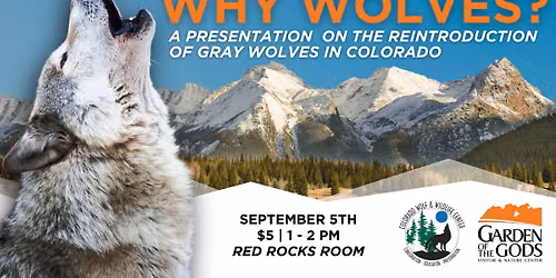 Why Wolves in Colorado?