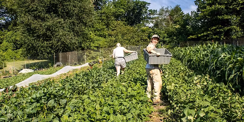 Campfire, S'mores & more at Weavers Way Farm- Awbury