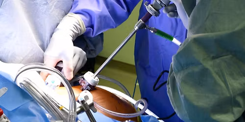 2026 Advances in Foregut Gastroenterology & Surgery Educational Conference 