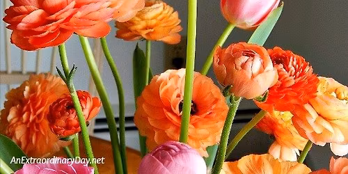 Spring Floral Workshop: Tulips & Ranunculus
