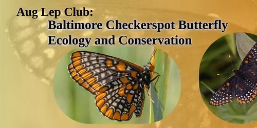 \tAug Lep Club: Baltimore Checkerspot Butterfly Ecology and Conservation
