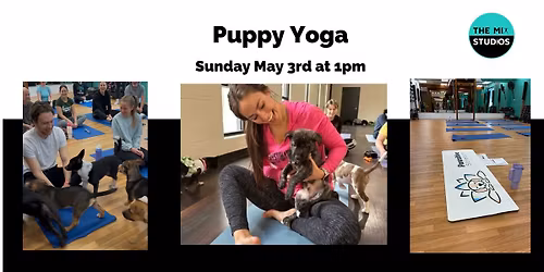 Puppy Yoga
