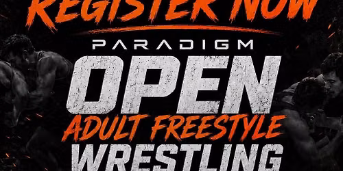 Paradigm Open VI