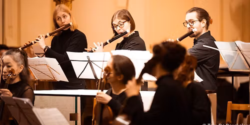 Discovery Day HIPP | Meet the Historical Instruments department of KCB