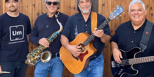 Shybo and the Twisted Vines at Local Vines