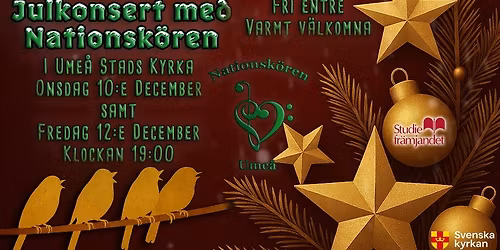 Julkonsert nr 2 med Nationskören 