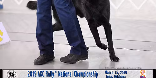 RiverRun AKC Rally Workshop 