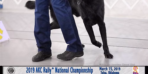 RiverRun AKC Rally Workshop 