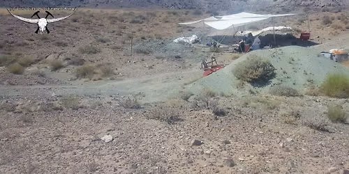 Dinosaur Dig Volunteer Training