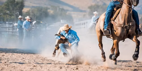 PBR Teams - Gambler Days