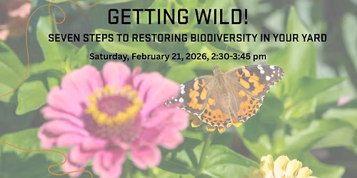 Getting Wild! Seven Steps to Restoring Biodiversity in Your Yard