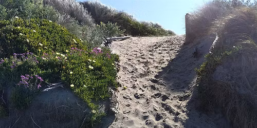 A walk in the sand: come to share, come to learn