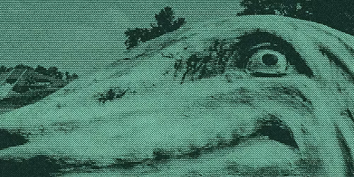 Town Portal + The Basement Projects