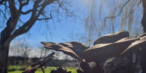Lezing De 4 seizoenen, leven in ritme