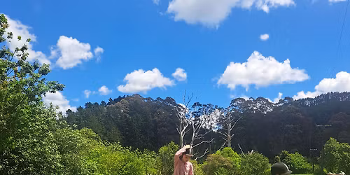 SUMMER HOLIDAY EDUCATION PROGRAMME PRE CHRISTMAS