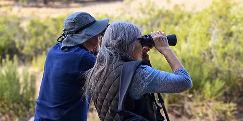 Slow Birding Journey