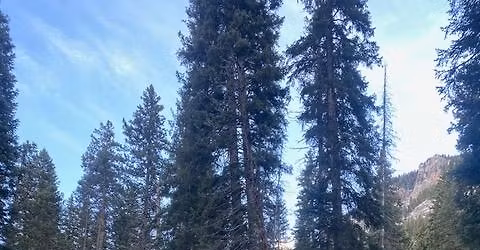 Beginner Classic Cross Country Skiing