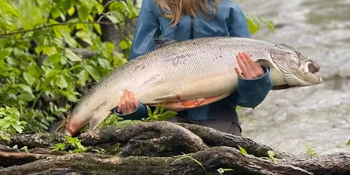 Laksefiske for ungdom 